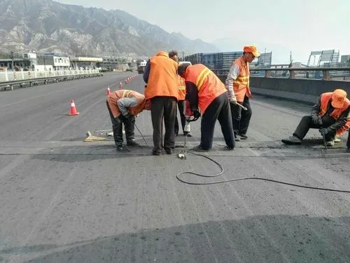 城子河道路桥梁病害治理